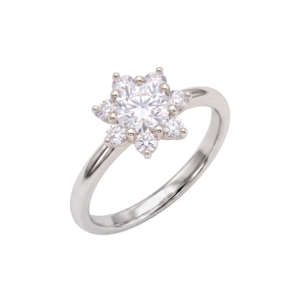 Fleur Éternelle Plata